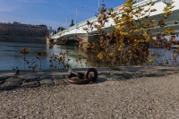_CS_7938.jpg