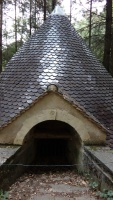 alain_forest_IMG_20181004_121214.jpg