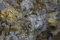 OIL CathTourrand 14052024-IMG_0173.jpg