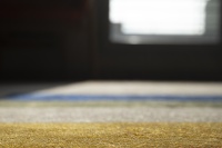 Ras le sol 7 J VIVION.jpg