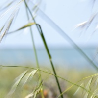 le vent 3 J VIVION.jpg