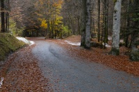 Christophe SOIREE OIL 17 nov 25 -4.JPG