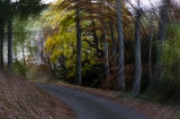 Christophe SOIREE OIL 17 nov 25 -5.JPG