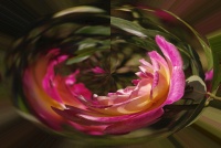 Genevieve Rome4_IMG5412R2FCP.jpg