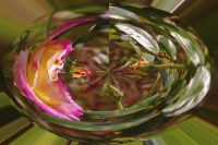 Geneviève Rome5_IMG5418R2 FCP.jpg