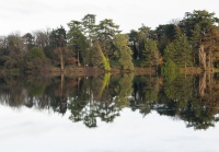 guy.brechon_parc (4).jpg