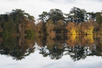 guy.brechon_parc (5).jpg