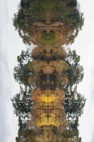 guy.brechon_parc (7).jpg