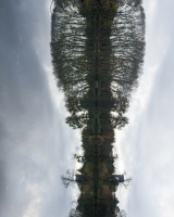 guy.brechon_parc (8).jpg