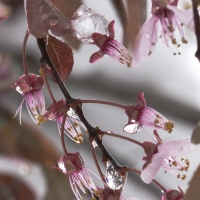 OIL CT 17042025-IMG_4043-2.jpg