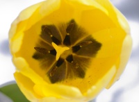 OIL CT 18042025-IMG_4152.jpg