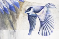 Suzanne Bissardon -street art - Lurcy Lévis 4.jpg