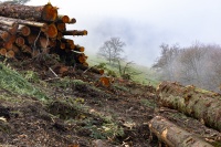 Christophe SOIREE OIL 8 décembre 25-a.JPG