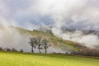 Christophe SOIREE OIL 8 décembre 25-c.JPG