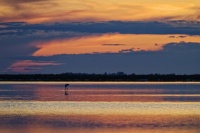 David B_DSC8261_Z6III_D005_1.jpg.jpg