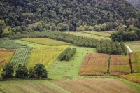 Geneviève Rome2_IMG5510R2L30C90.jpg