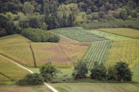 Geneviève Rome3_IMG5512R2L34 C99.jpg