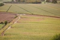 Geneviève Rome4_IMG5519R2L20C99auto.jpg