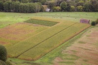 Geneviève Rome6_IMG5542R2L34C90.jpg