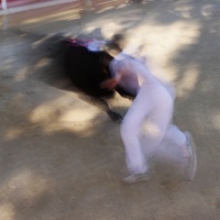 DSC00322C2 copie.jpg