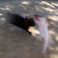 DSC00327C2 copie.jpg