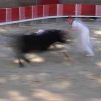 DSC00333C2-2-2 copie.jpg