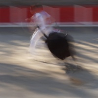 DSC00339-2-2-2 copie.jpg