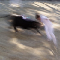 DSC00342C2 copie.jpg