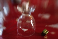 rouyer-philippe- composer avec objectif partiellement inclinable (4).jpg