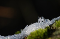 3 Suzanne-Bissardon Ste Catherine rte du Chatelard déc 25.jpg