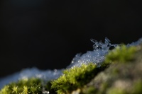 4 Suzanne-Bissardon Ste Catherine rte du Chatelard déc 25.jpg