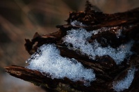 5 Suzanne-Bissardon Ste Catherine rte du Chatelard déc 25.jpg