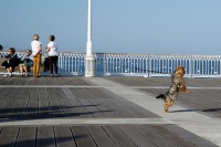 Claude Brenas DSC00719C - Copie.jpg