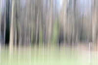 Geneviève Rome2_IMG6579R2 ICM au parc.jpg