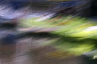 Geneviève Rome3_IMG6613R2ICM au parc.jpg