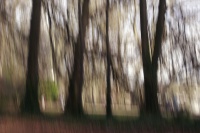 Geneviève Rome6_IMG6722R2 ICM au parc.jpg