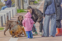 Christophe ANIMAUX VILLE oil 23 fev 6.jpg