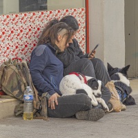 Christophe ANIMAUX VILLE oil 23 fev 7.jpg