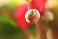 viviane BOUCHARD-IMG-jpg (4).JPG