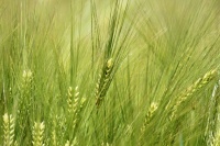 viviane BOUCHARD-IMG-jpg (5).JPG