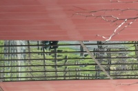 VIVIANE BOUCHARD IMG 2.JPG