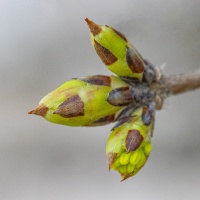 Christophe séance OIL 9 mars 2026 -1.jpg