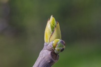 Christophe séance OIL 9 mars 2026 -2.jpg