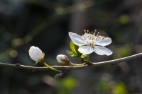 Christophe séance OIL 9 mars 2026 -3.jpg