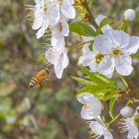 Christophe séance OIL 9 mars 2026 -4.jpg