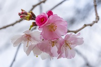 Christophe séance OIL 9 mars 2026 -5.jpg