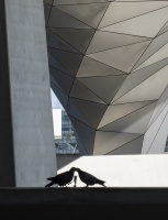 2026 03 sortie confluence 2 Jacqueline.jpg