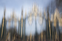 guy.brechon_ICM (1).jpg