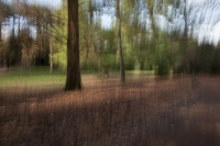 guy.brechon_ICM (2).jpg