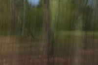 guy.brechon_ICM (3).jpg